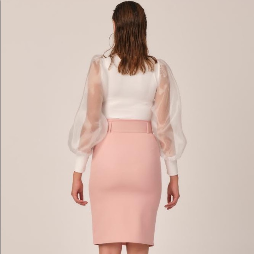 🤍Organza Sleeve Blouse - Picture 4 of 5